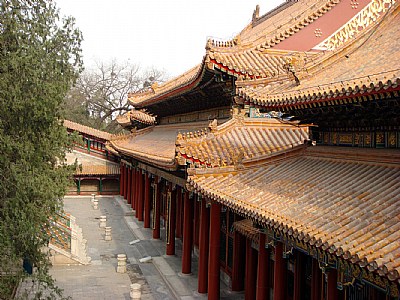 Beijing 25  - Roofs
