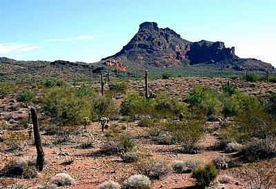 Arizona desert