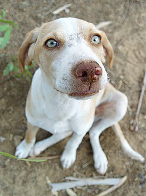 give me a bone please!