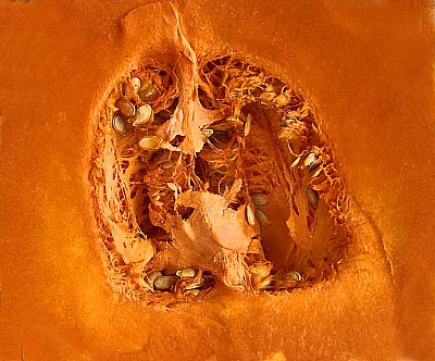 Pumpkin