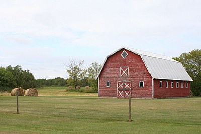 Barn Yard
