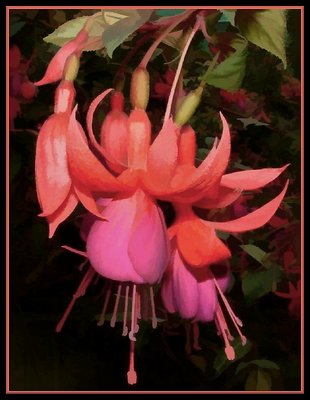 Floral Art - Fuschia