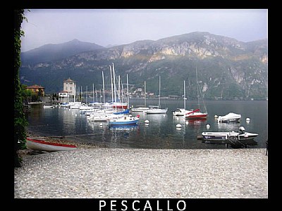 pescallo