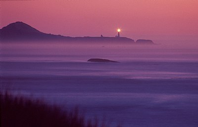 Yaquina Head