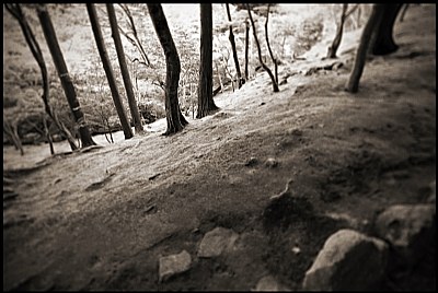 Ginkaku-ji 