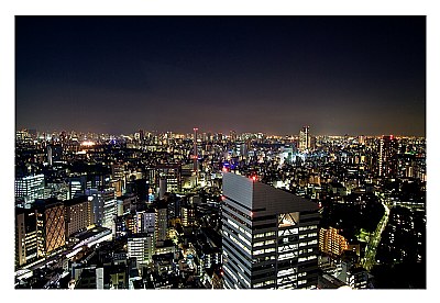 Tokyo Night