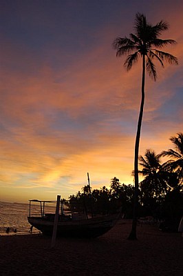 Silhoutte - Praia do forte - BA Brazil