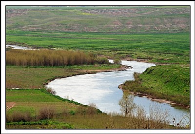 Dicle