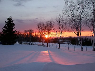 Winter sunset