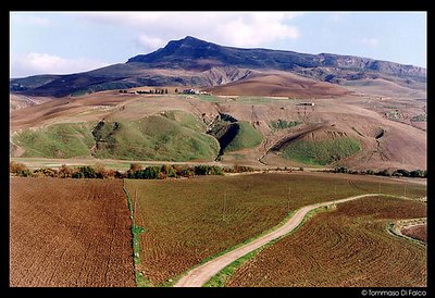 Field and Mountain