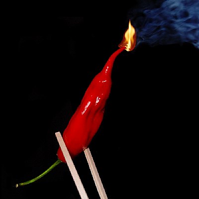 Red HOT Chili Pepper