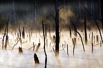 Mist Over Lake