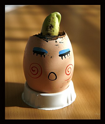 Mr. Egg