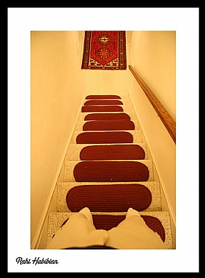 GHALICHEH (persian carpet)