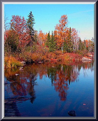 Nature Reflection