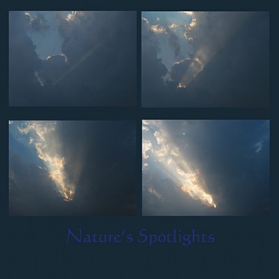 Nature's Spotlight   2