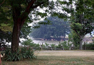 Farm