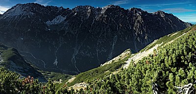 From Swistowka