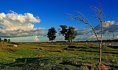 LANDSCAPE OF BIRBHUM