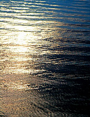 Watery Ying Yang