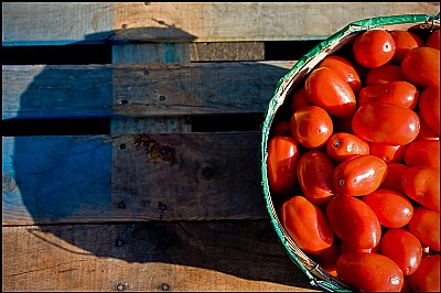 Tomates