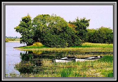 on the lake