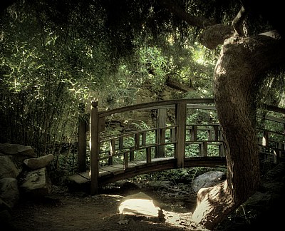 Japanese Garden 1