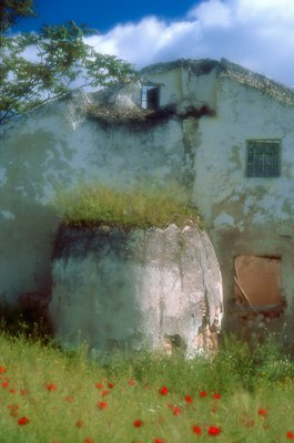 Ruin and Poppies