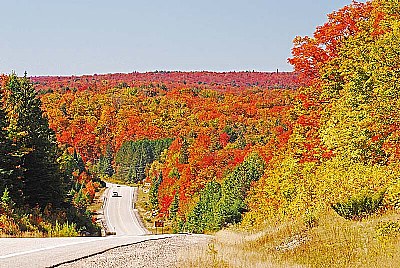 Colors of autumn