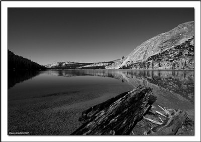 Tenaya Lake