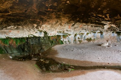 Cave Spring