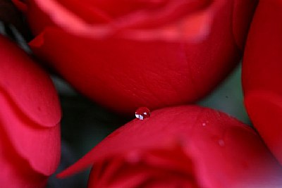 drop