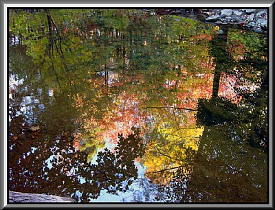Wilket  Creek Autumn Reflections