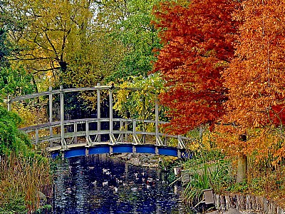 Little blue bridge