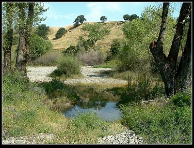 Mid morning riverbank