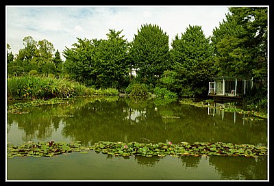 The Boathouse Garden....