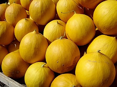 Elaz&#305;g melones