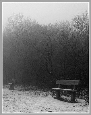 Silent bench