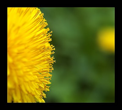 Sideview  in yellow