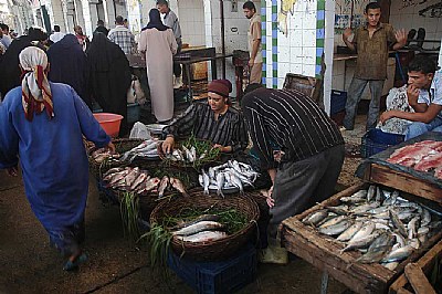 Fish Market 