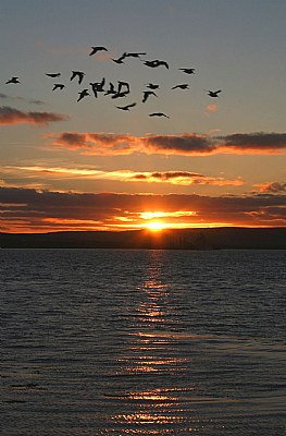 Orkney's sunset