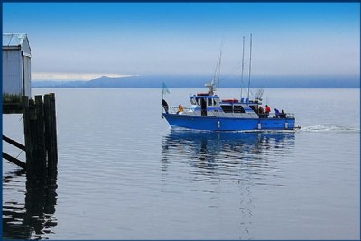 FOG  on the BAY