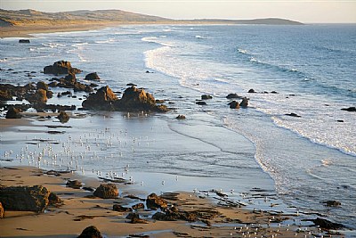 Salmon Creek Beach