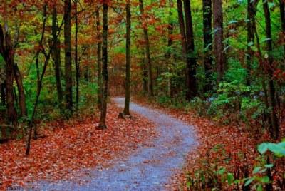 Path