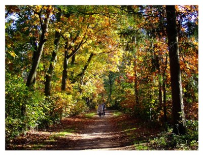 Autumn Colors