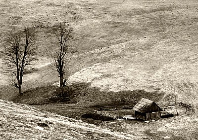 The sheepfold
