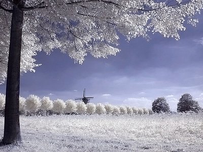 Windmill (IR)