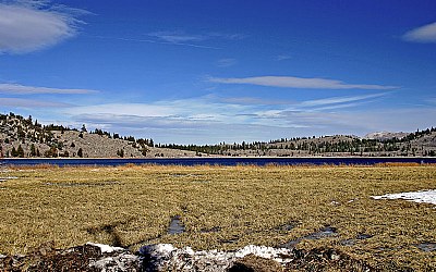 Winter Marshland