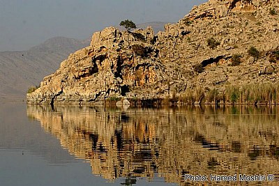 Reflection