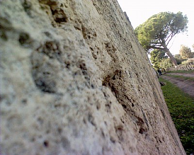 wall